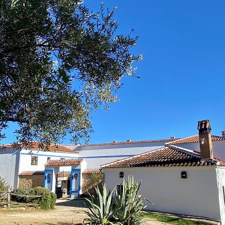 El Molino De La Quinta Apartment Constantina Exterior foto