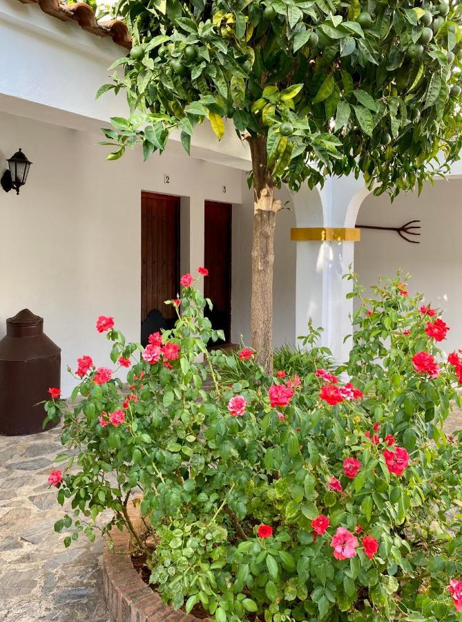 El Molino De La Quinta Apartment Constantina Exterior foto
